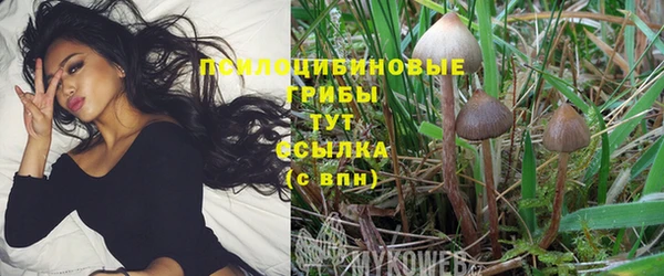 дмт Алзамай