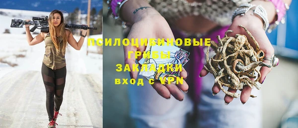 дмт Алзамай